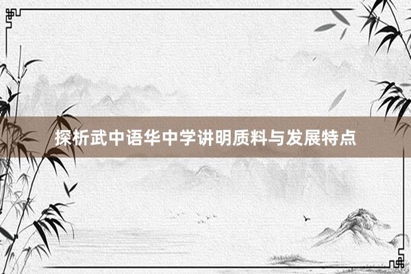 探析武中语华中学讲明质料与发展特点