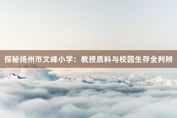 探秘扬州市文峰小学：教授质料与校园生存全判辨