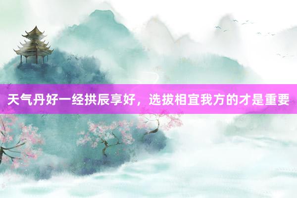 天气丹好一经拱辰享好，选拔相宜我方的才是重要