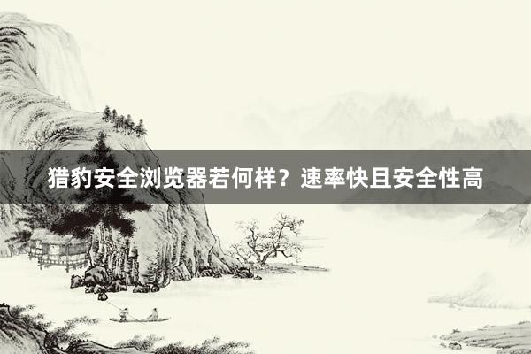 猎豹安全浏览器若何样？速率快且安全性高