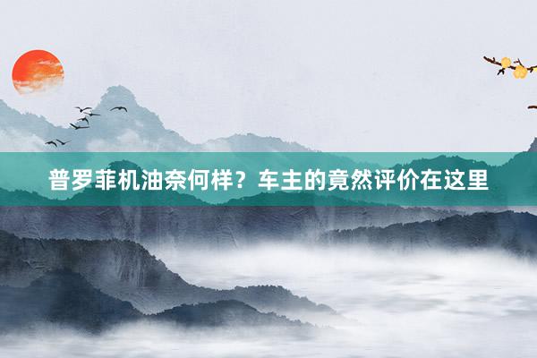 普罗菲机油奈何样？车主的竟然评价在这里