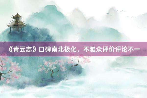 《青云志》口碑南北极化，不雅众评价评论不一