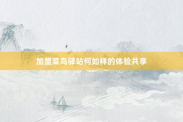 加盟菜鸟驿站何如样的体验共享