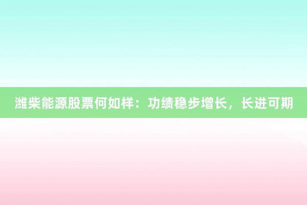潍柴能源股票何如样：功绩稳步增长，长进可期