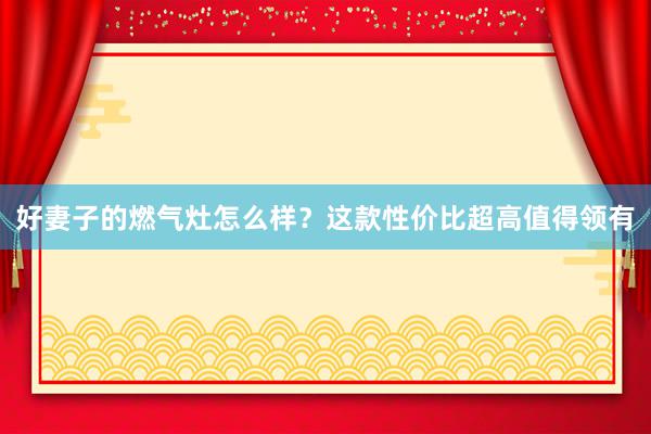 好妻子的燃气灶怎么样？这款性价比超高值得领有